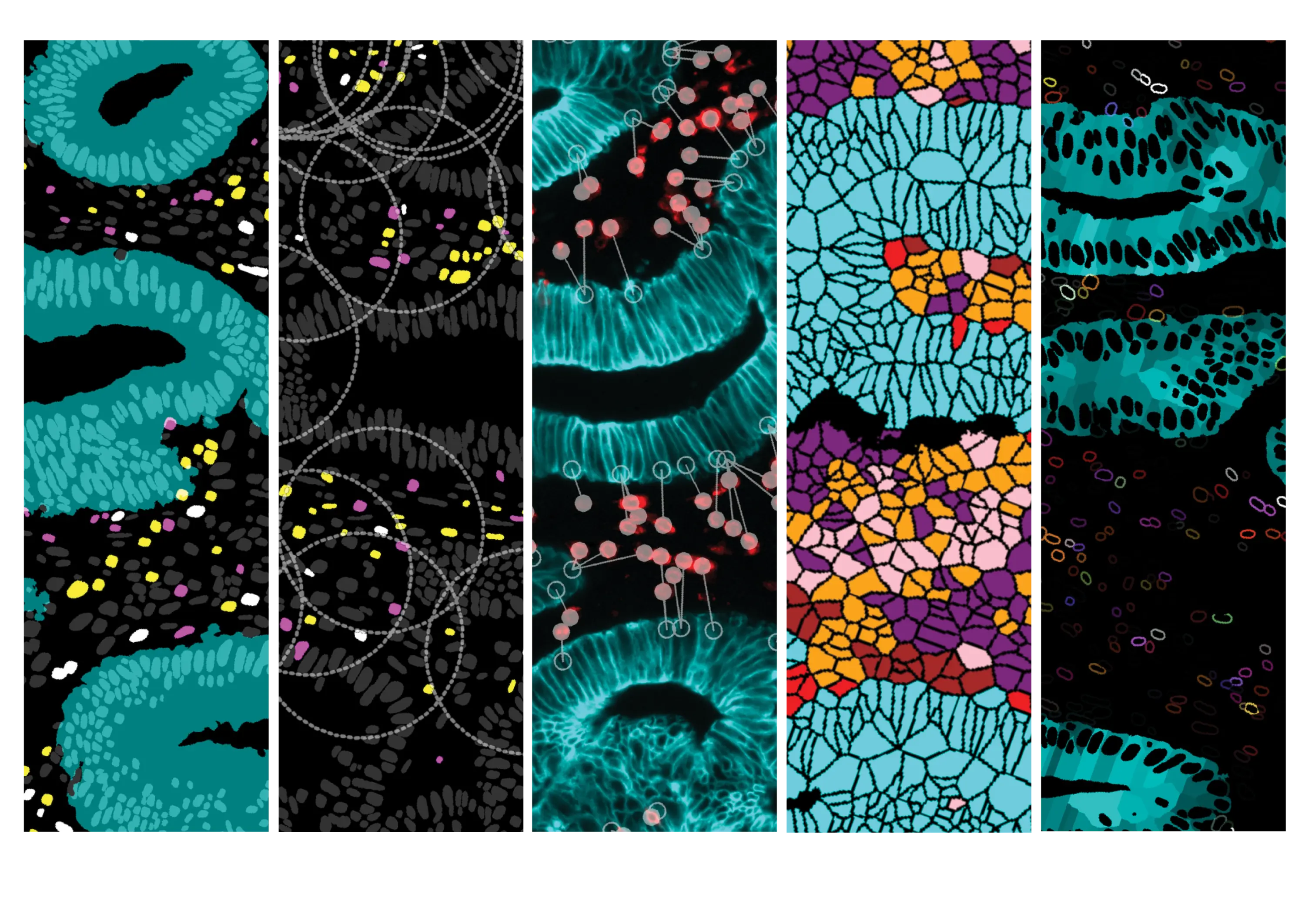 Paletrra advanced spatial analytics