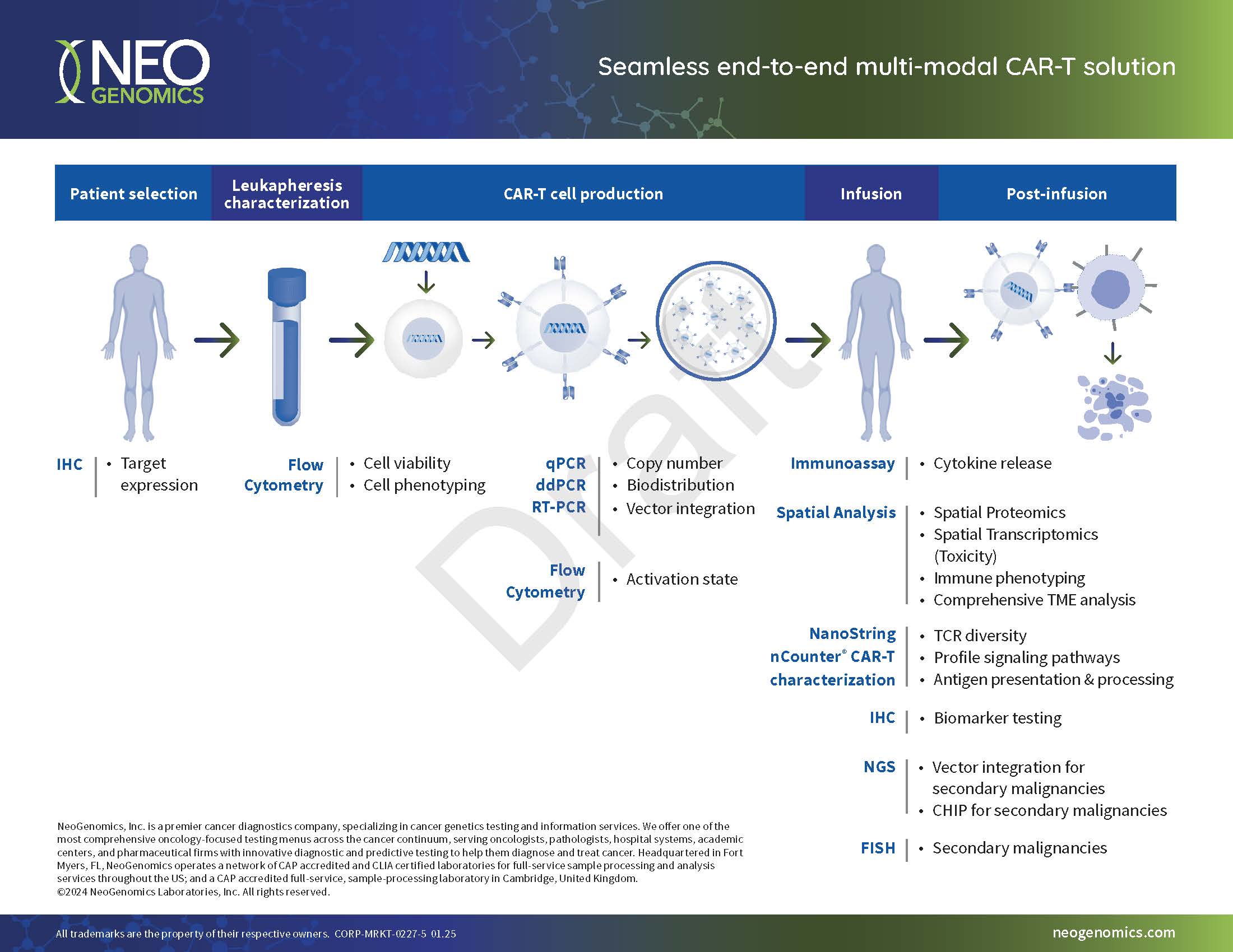 CAR-T solution