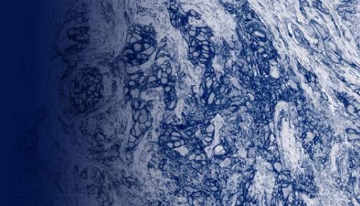 Real-World PD-L1 testing data provides insight into the evolving immuno-oncology landscape