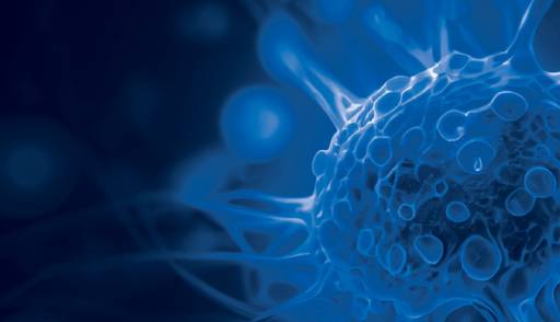 Multi-modality testing of EGFR