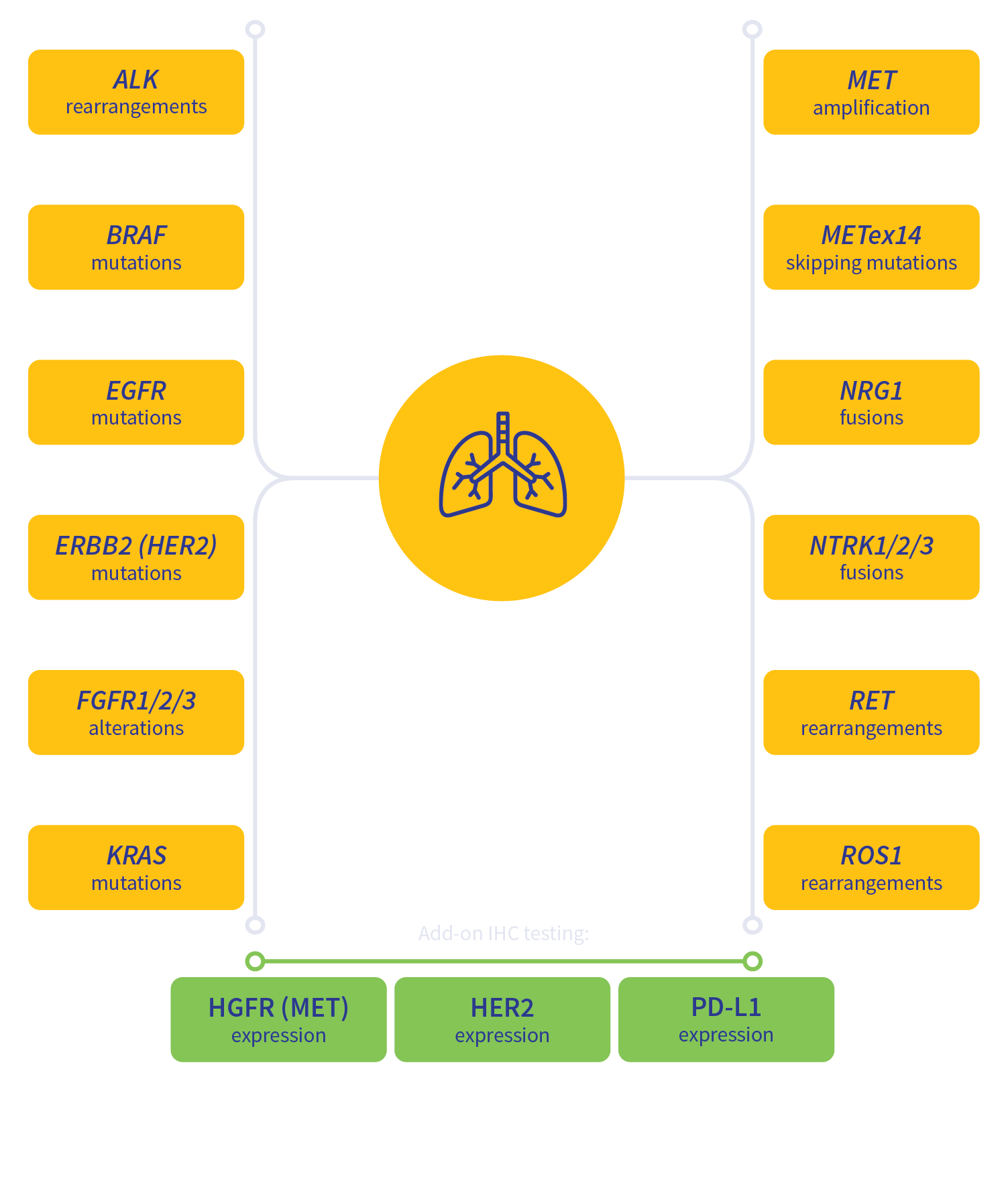 lung cancer biomarkers